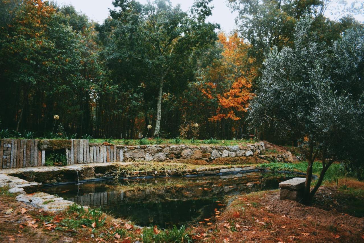 Quinta Das Fontes - Alojamento Rustico Local E Turismo Rural São Pedro do Sul Kültér fotó