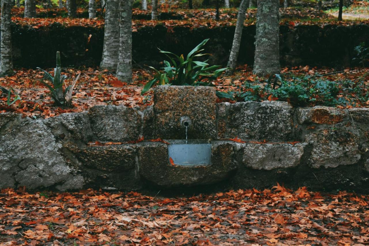 Quinta Das Fontes - Alojamento Rustico Local E Turismo Rural São Pedro do Sul Kültér fotó