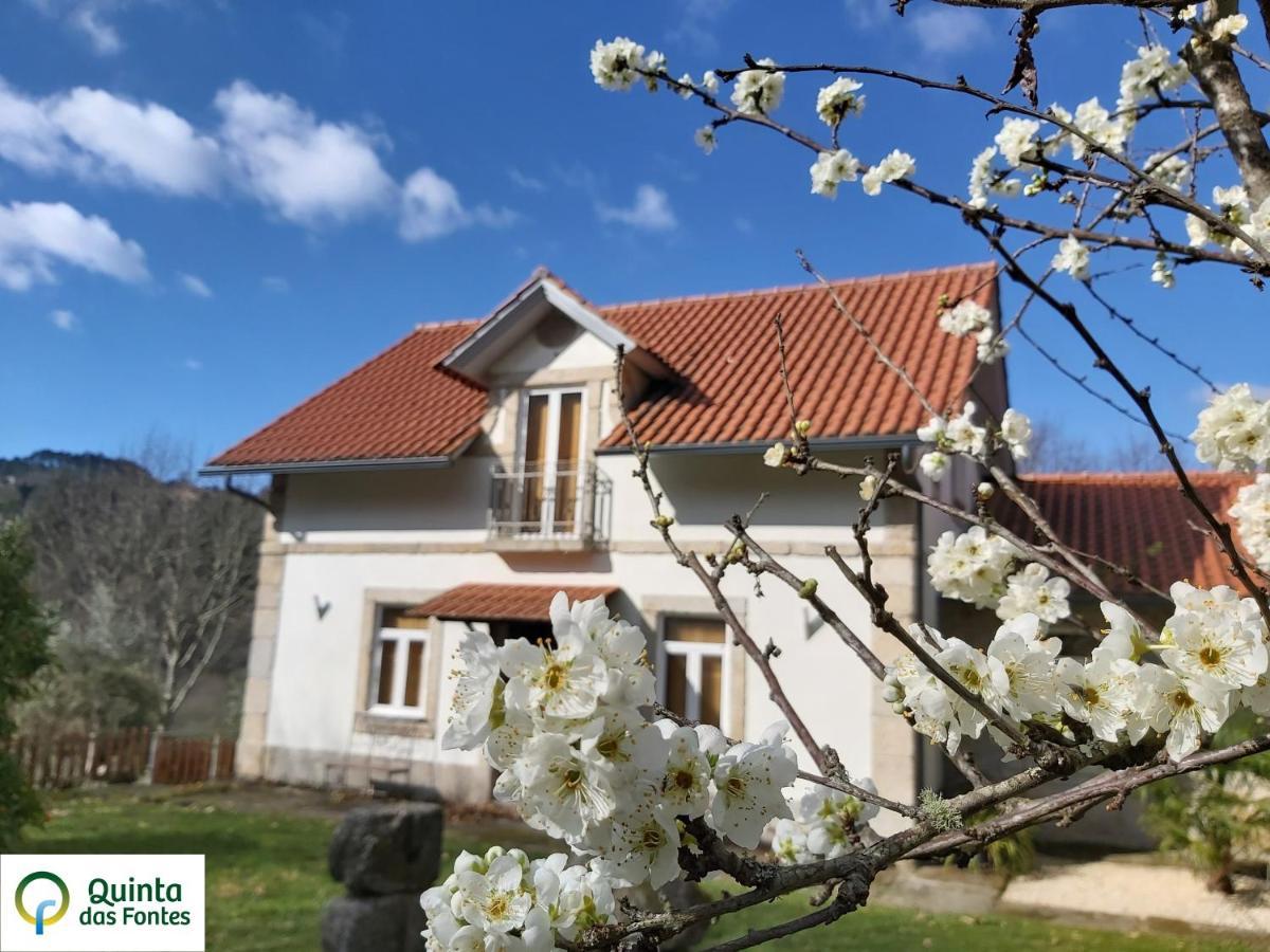 Quinta Das Fontes - Alojamento Rustico Local E Turismo Rural São Pedro do Sul Kültér fotó