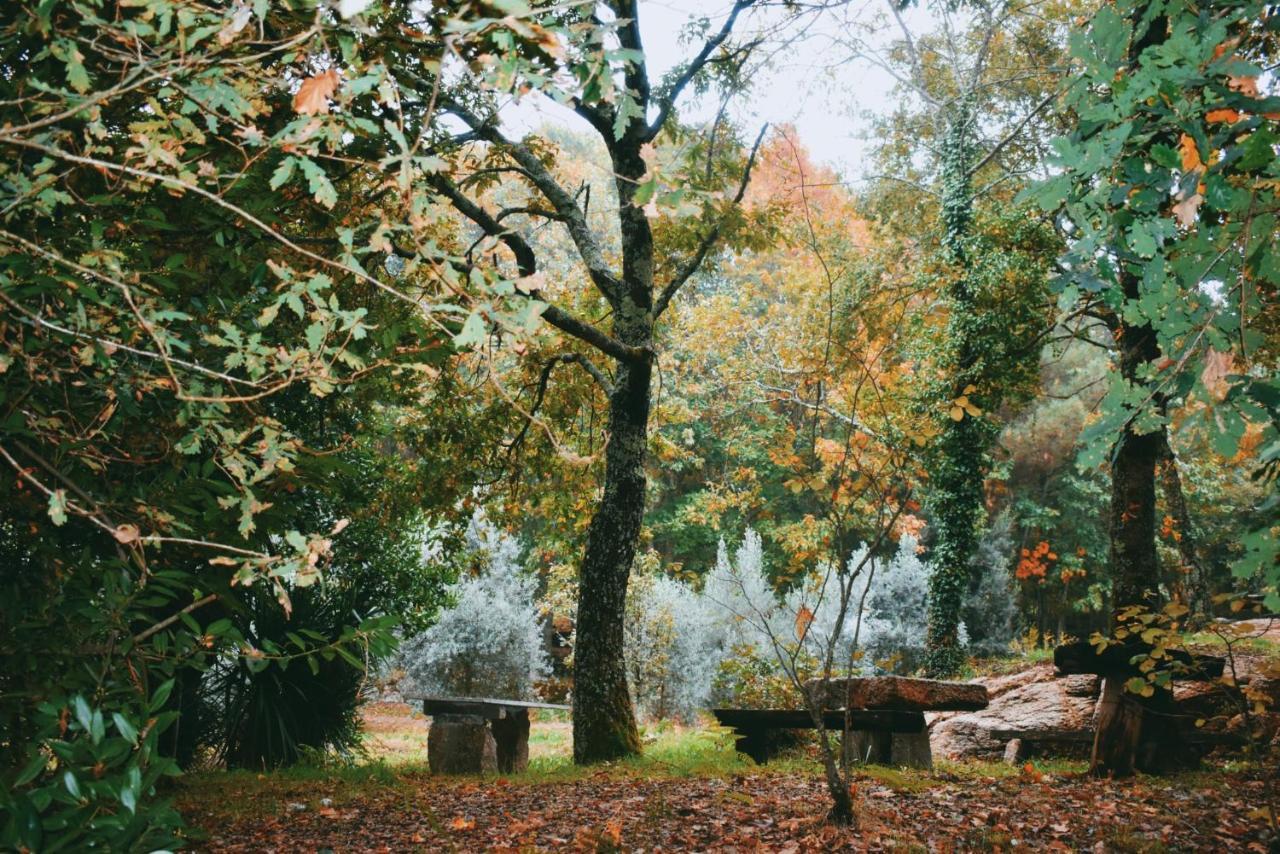 Quinta Das Fontes - Alojamento Rustico Local E Turismo Rural São Pedro do Sul Kültér fotó
