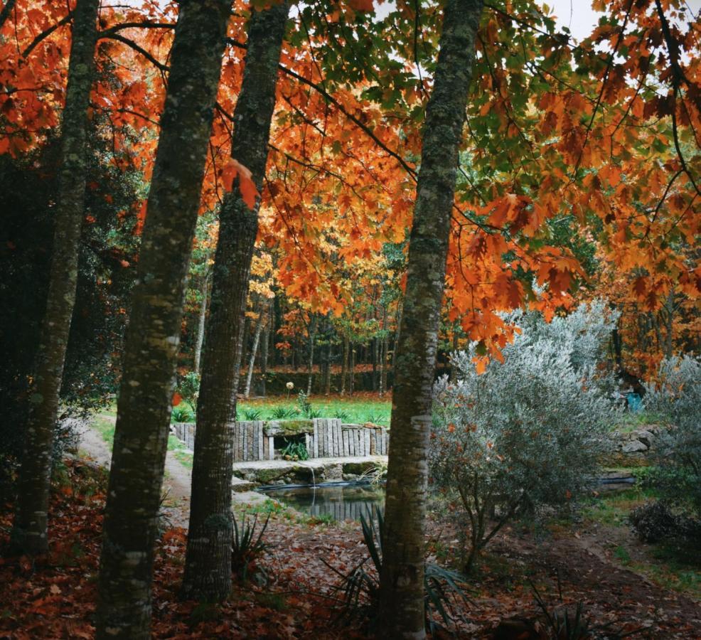 Quinta Das Fontes - Alojamento Rustico Local E Turismo Rural São Pedro do Sul Kültér fotó