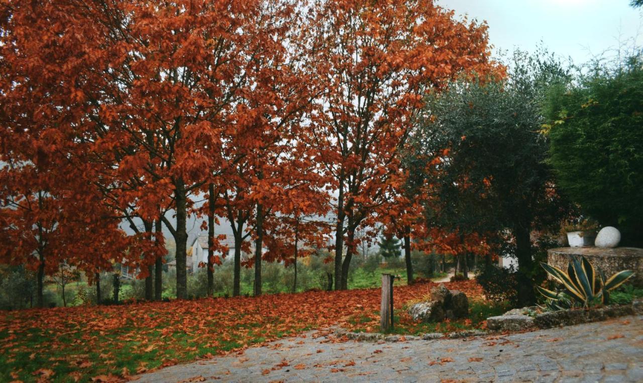 Quinta Das Fontes - Alojamento Rustico Local E Turismo Rural São Pedro do Sul Kültér fotó