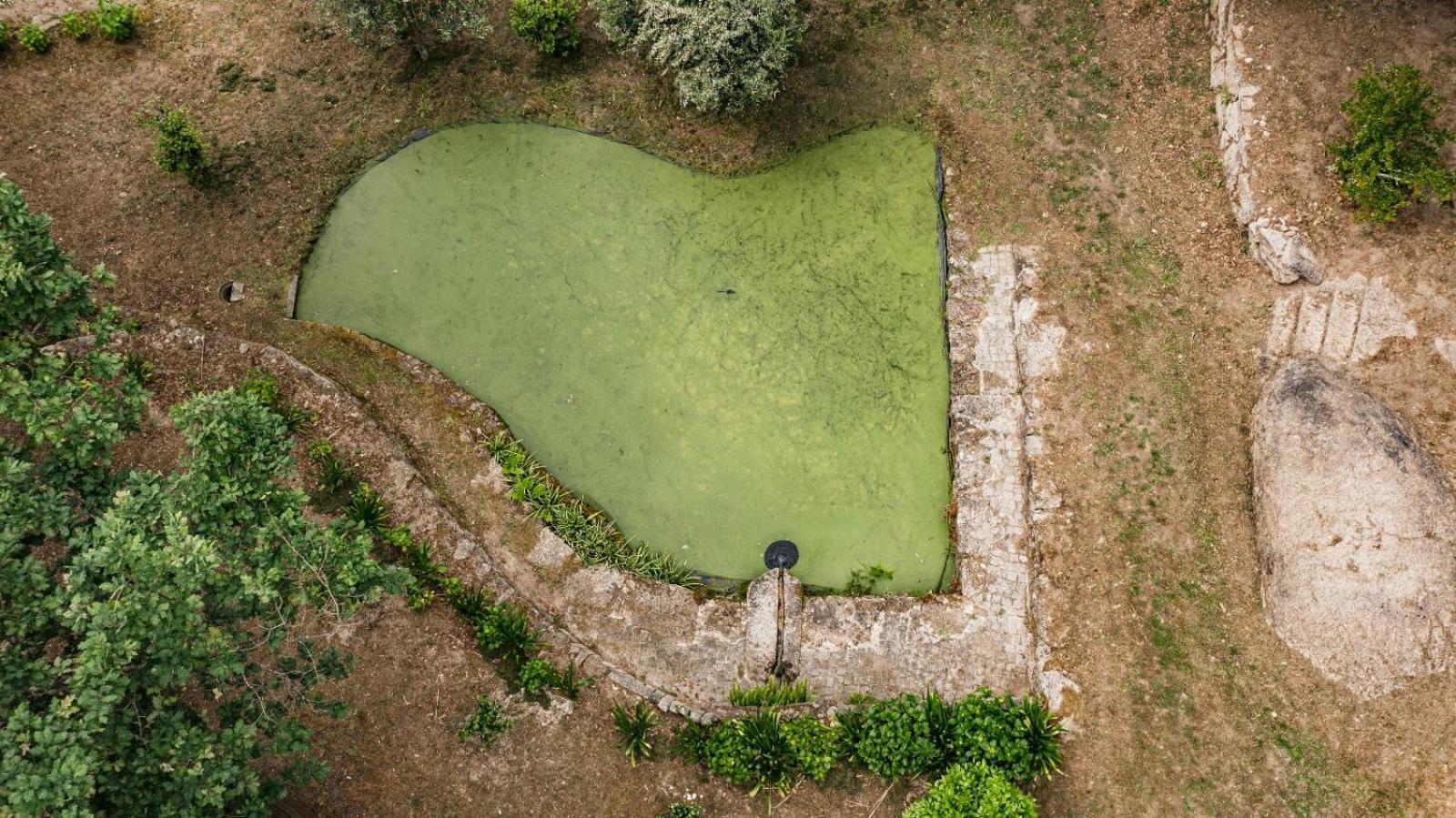 Quinta Das Fontes - Alojamento Rustico Local E Turismo Rural São Pedro do Sul Kültér fotó
