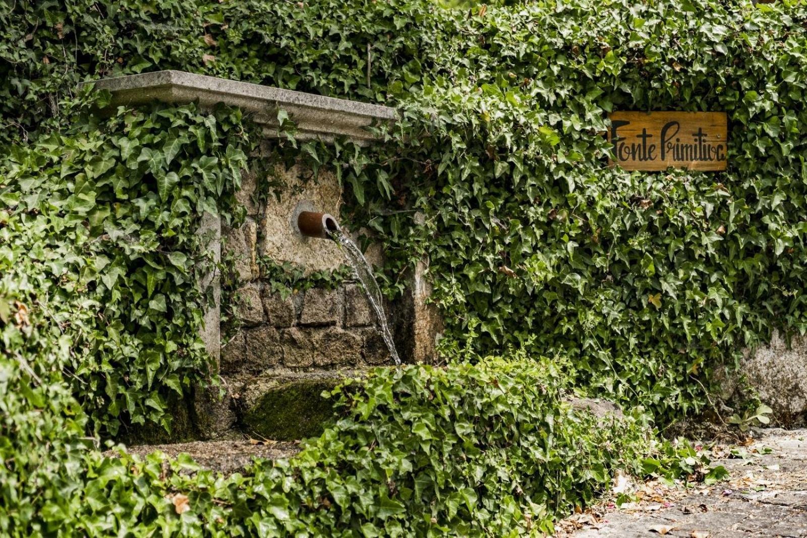 Quinta Das Fontes - Alojamento Rustico Local E Turismo Rural São Pedro do Sul Kültér fotó