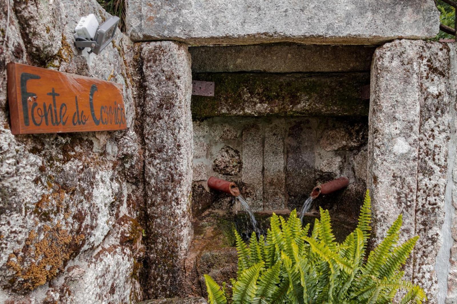 Quinta Das Fontes - Alojamento Rustico Local E Turismo Rural São Pedro do Sul Kültér fotó